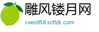 雕风镂月网